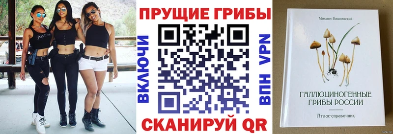 Псилоцибиновые грибы Cubensis  это наркотические препараты  Выборг 